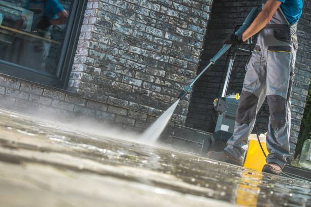 Best Paint Preparation  in Chester, IL