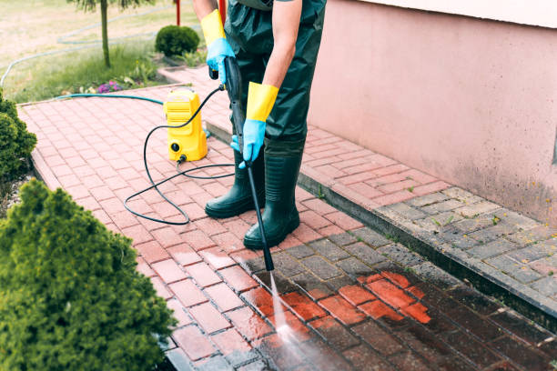 Best Driveway Pressure Washing  in Chester, IL