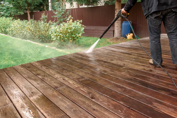 Best House Exterior Washing  in Chester, IL