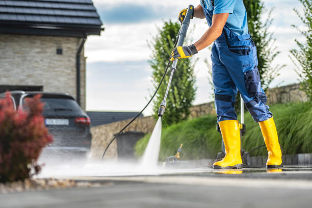 Best Fence Cleaning  in Chester, IL