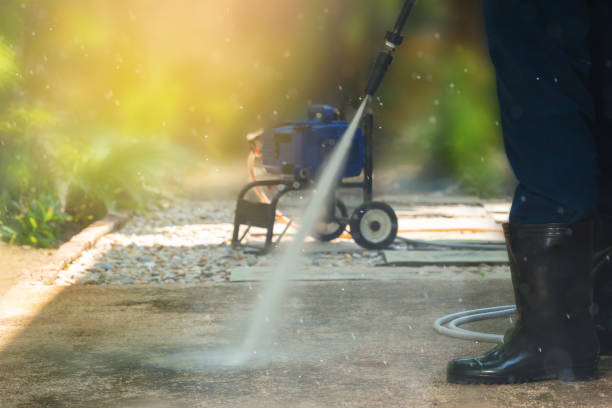 Best Soft Washing  in Chester, IL